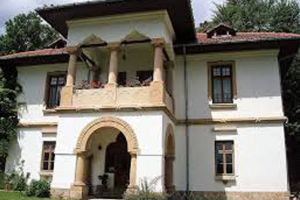 RĂZBUNAREA PNL în capul şefilor CJ!