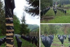 Hotărâre scandaloasă privitoare la Cimitirul din Valea Uzului! În ce condiţii poate fi vizitat cimitirul: „Decizia nu poate fi atacată de nimeni!”