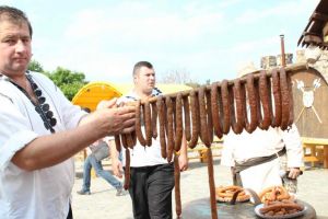 „Virşli de Hunedoara” au pierdut lupta pentru certificarea europeană