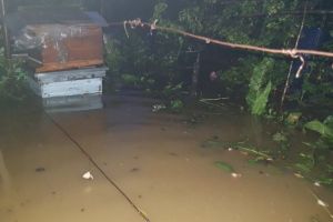 Torenţii au inundat gospodării în Voila