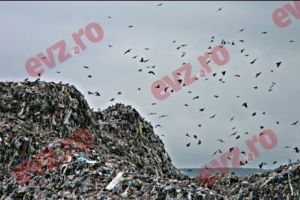 PATA RÂT, groapa de gunoi a Clujului, înseamnă ACASĂ pentru mii de oameni