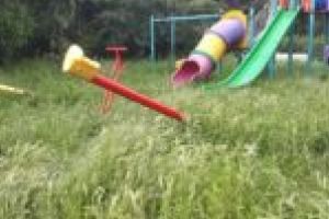 Copilărie printre buruieni! Locurile de joacă din Lugoj, invadate de vegetaţie şi insecte