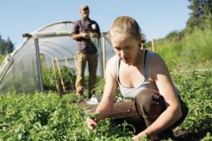 LOCURI DE MUNCĂ ÎN STRĂINĂTATE. Peste 400 de oferte prin intermediul reţelei Eures România. Se caută  lucrători în producţie, şoferi, muncitori în agricultură