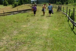 Proiect cu bani europeni pentru redeschiderea traficului între România şi Ucraina pe la ...