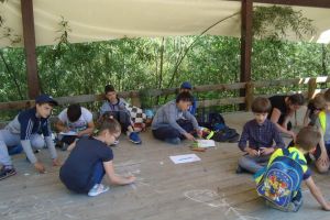 Școală de vară gratuită pentru copiii între 6 şi 12 ani, în iunie şi iulie