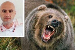 „URSOAICA ne-a ATACAT de două ori!”