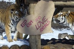 Director nou la Grădina Zoologică din Târgu-Mureş