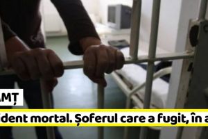 NEAMȚ: Arest pentru şoferul care a accidentat mortal un pieton şi a fugit