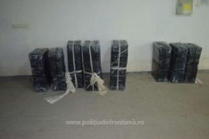 Tigari de contrabanda descoperite in apropierea localitatii Sarasau