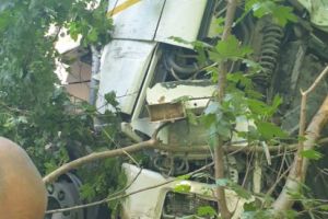 Accident rutier pe DN3 intre Constanta si Valu lui Traian. Un autotren a ajuns in padure (galerie foto)