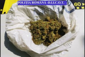 Perchezitii ale politistilor si procurorilor DIICOT la Tulcea. Vizati suspecti de trafic de droguri de risc si substante cu proprietati psihoactive