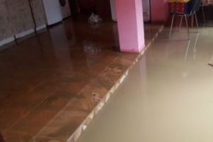  Banatul sub ape. Ploile torenţiale au făcut ravagii în vestul ţării. Galerie foto