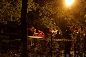 Pompier rănit în timp ce tăia un arbore căzut după furtună în Oradea (FOTO)