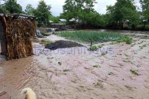 FOTO! Gospodării inundate la Călăraşi şi Hlipiceni. Pompierii intervin la faţa locului