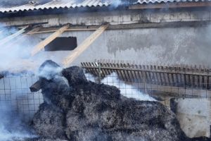 Incendiu de amploare la Tariverde, judetul Constanta. Un grajd cu animale, cuprins de flacari. Mai multi pompieri intervin (galerie foto) 