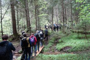 Suceava găzduieşte Reuniunea directorilor generali în domeniul pădurilor din Europa