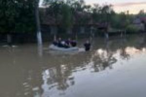 Apele au făcut ravagii în judeţul Timiş! Ploile continuă!