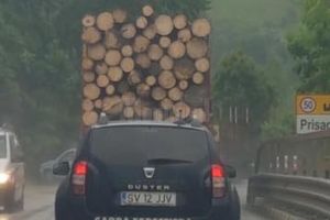 Acuzaţii grave ale unei pagini de Facebook, verificate şi demontate de Garda Forestieră Suceava