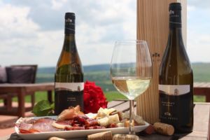 Villa Vinea, premiată cu aur pentru explozia aromată din vinurile sale speciale