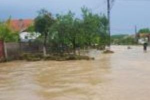 Cantităţi uriaşe de apă, căzute în ultimele ore! Râurile din vestul ţării, adevărate pericole!