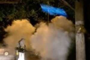 Dupa ploaie vine si dezinsectia pentru nimicirea tantarilor