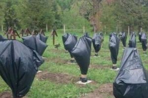 Scandalul de la Cimitirul Internaţional din Valea Uzului ia amploare. UDMR solicită intervenţia Guvernului