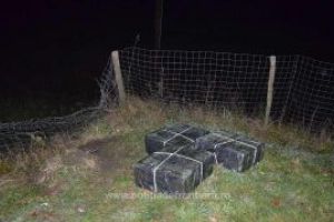 Patru focuri de arma la frontiera verde. Carausii au reusit sa scape