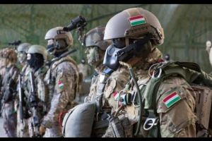 Ungaria mobilizează 1000 soldaţi la graniţa cu România