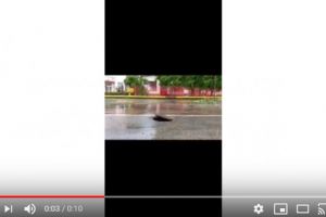 Capacul de canalizare 