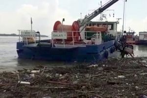 VIDEO Tone de plastic şi leşuri de animale, la malul Dunării