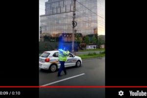 Filmare virală. Trei poliţişti au ajutat o raţă cu 6 boboci să traverseze strada