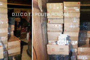 Peste 26.000 de pachete de ţigări găsite de procurorii DIICOT într-un garaj din Vicov