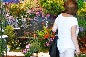 De vineri, „Expo – Flora” la Grădina Botanică