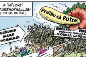 Părerea lui Terente