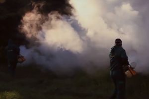 ANUNȚ – Zece zile de dezinsecţie la Sibiu – Ce substanţe se folosesc şi cine trebuie să se ferească