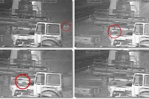 Lepa, filmat în timp ce comitea fapta pentru care era dat în urmărire naţională şi internaţională