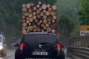 Acuzaţii grave ale unei pagini de Facebook, verificate şi demontate de Garda Forestieră Suceava