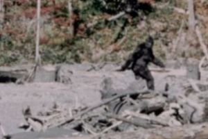 FBI tocmai a publicat dosarul Bigfoot. Există sau nu există Yeti? Ce spun experţii Biroului Federal de Investigaţii