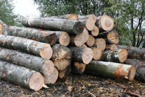 Material lemnos confiscat