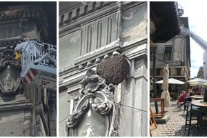 Intervenţie la înălţime, în Piaţa Unirii, pentru îndepărtarea unui cuib de viespi de pe o clădire
