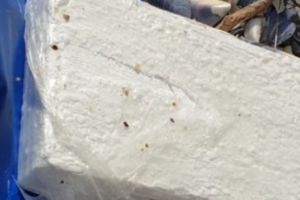 Cocaină descoperită în timpul furtunii. Laboratorul clandestin se afla într-un hangar