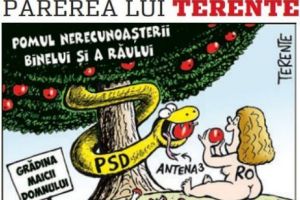 Părerea lui Terente