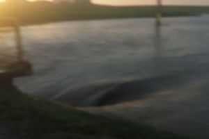 VIDEO Tânăr luat de viitură! Pompierii au intervenit să-l salveze