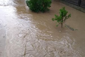 FOTO & VIDEO Potop într-o localitate din Botoşani