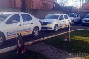 Pază pentru Bolojan: SPP Bihor ar putea asigura pentru paza căminelor, parcărilor şi parcurilor Oradiei