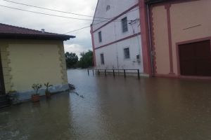 Gospodării şi străzi inundate în mai multe localităţi timişene. O maşină, luată de ape