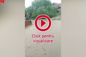 Ploile au creat probleme serioase la Marginea, Clit şi Suceviţa