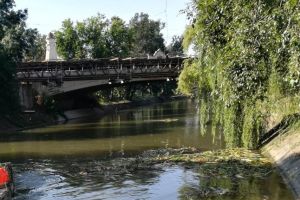 Poliţia Locală a numărat infractorii şi neregulile de pe malurile Begăi, din şalupă