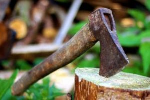 A încercat să lovească un poliţist cu toporul, apoi a vrut să „se piardă” în pădure, însă a fost prins şi imobilizat rapid