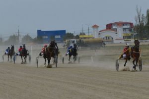 Premii mari şi un caz social